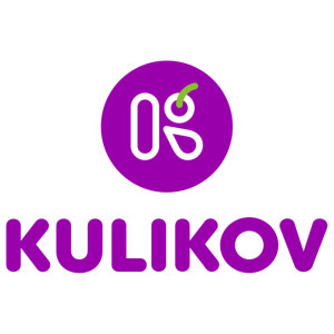 Kulikov